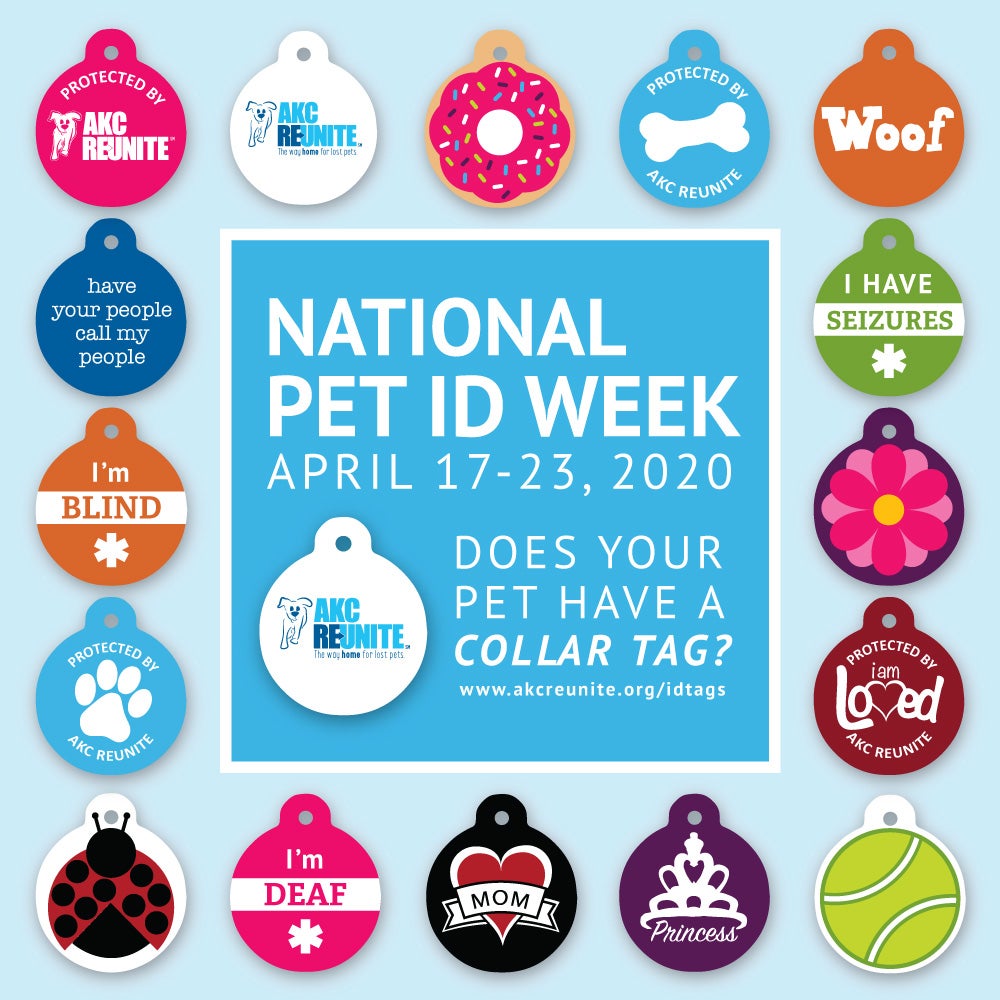April 17 National Pet ID Week